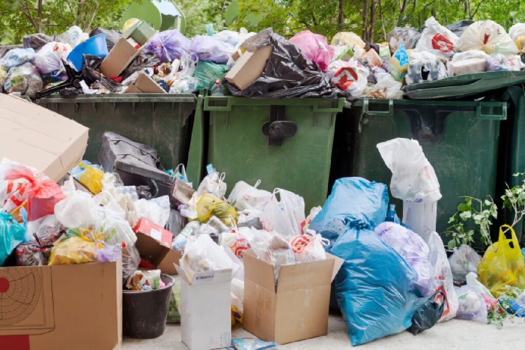 Garbage Collection Service Tigard